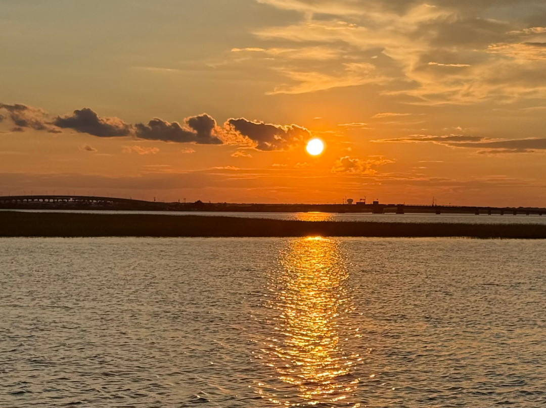 Salt Marsh Safari The Skimmer-Stone Harbor必去景点