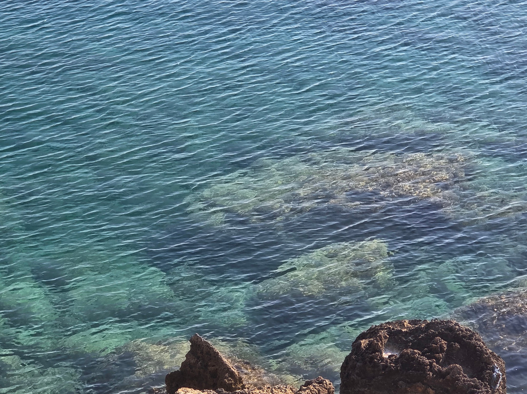 Fig Tree Bay Beach-普它肋斯必去景点