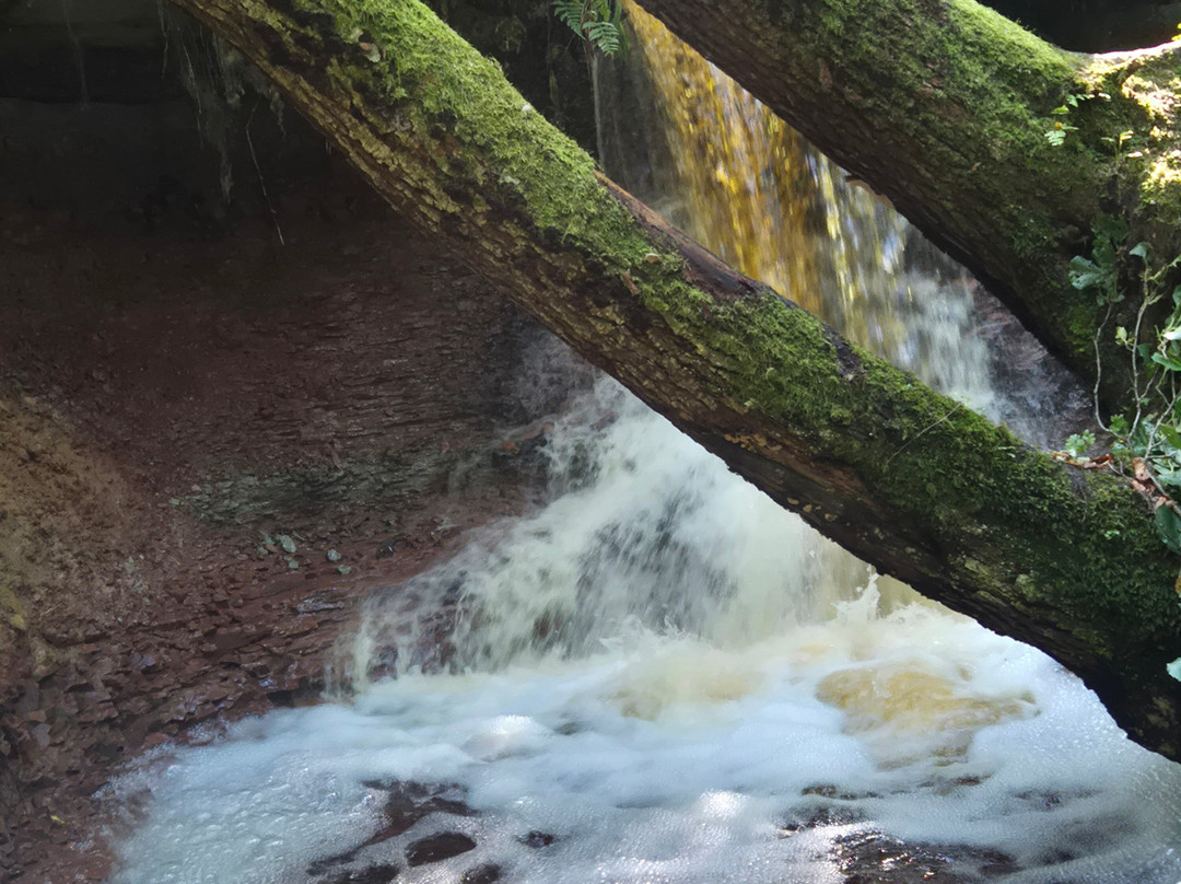 Zartapu Waterfall-Dundaga必去景点