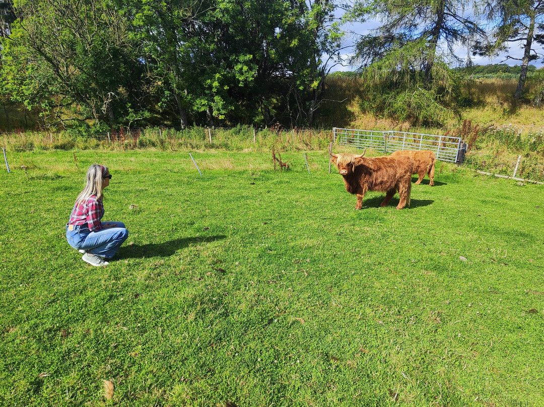 Newton Farm Holidays & Tours主图