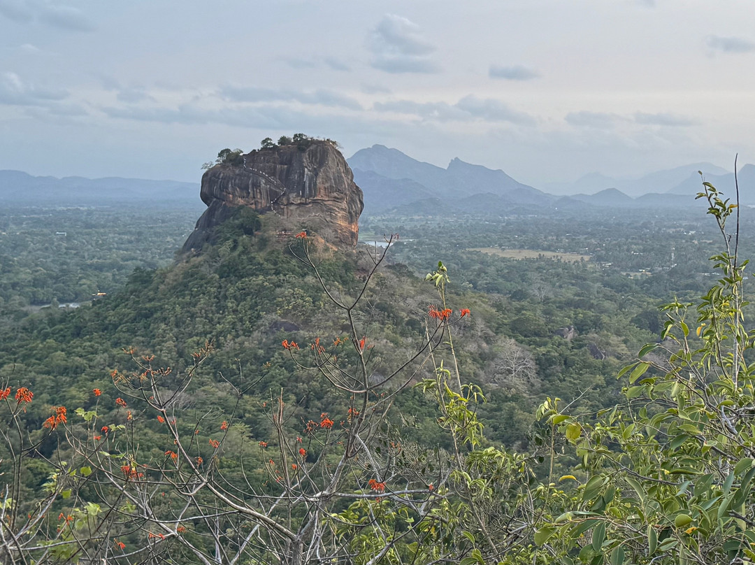Sri Lanka Driver Tours-Yatiyana必去景点