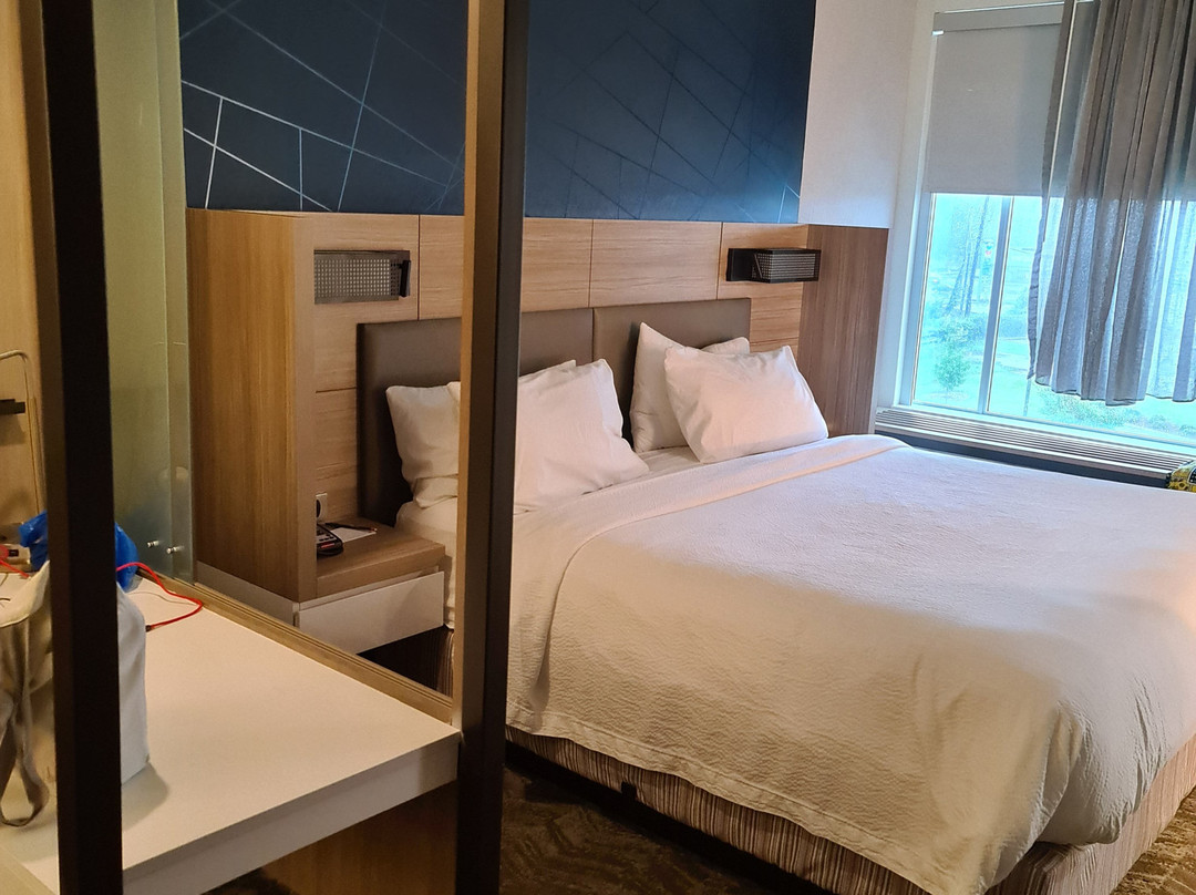 SpringHill Suites Birmingham Gardendale主图