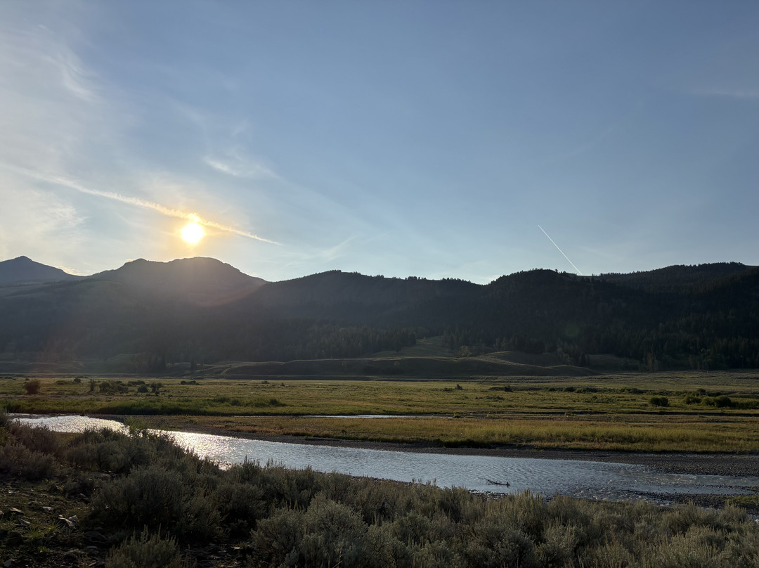 Lamar Valley Touring-加德纳必去景点