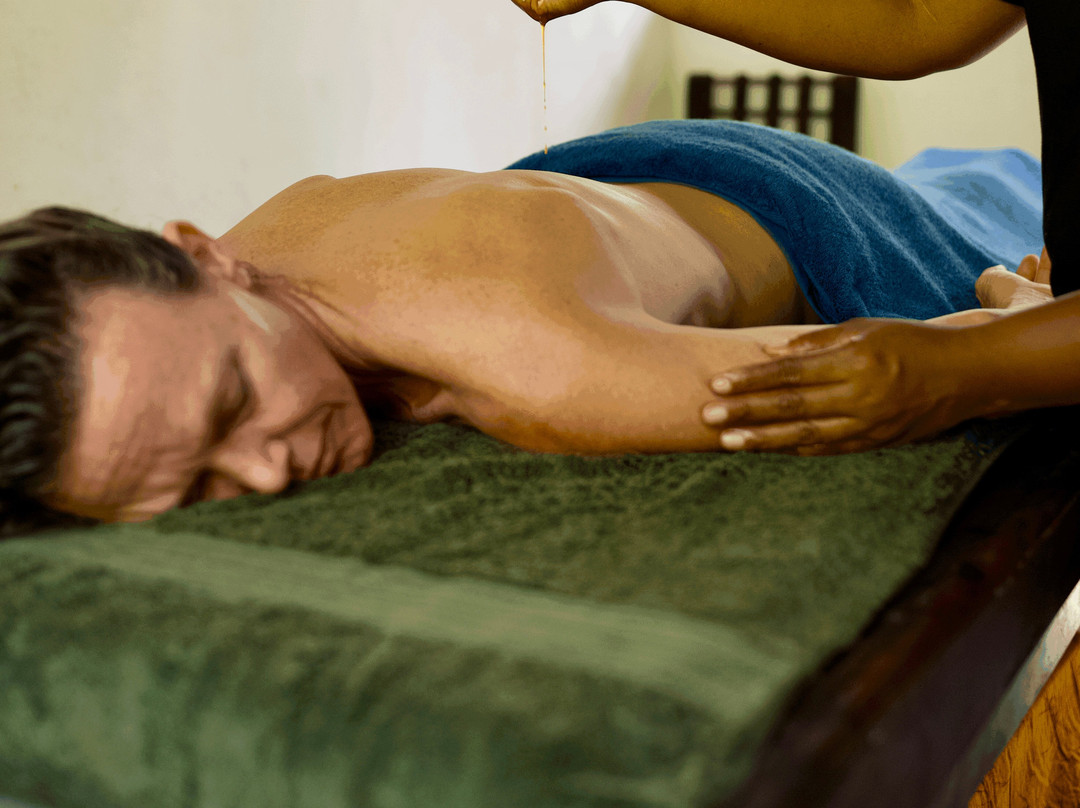 Jeevaka Villa and Ayurveda Retreat - Jeeva Villa主图