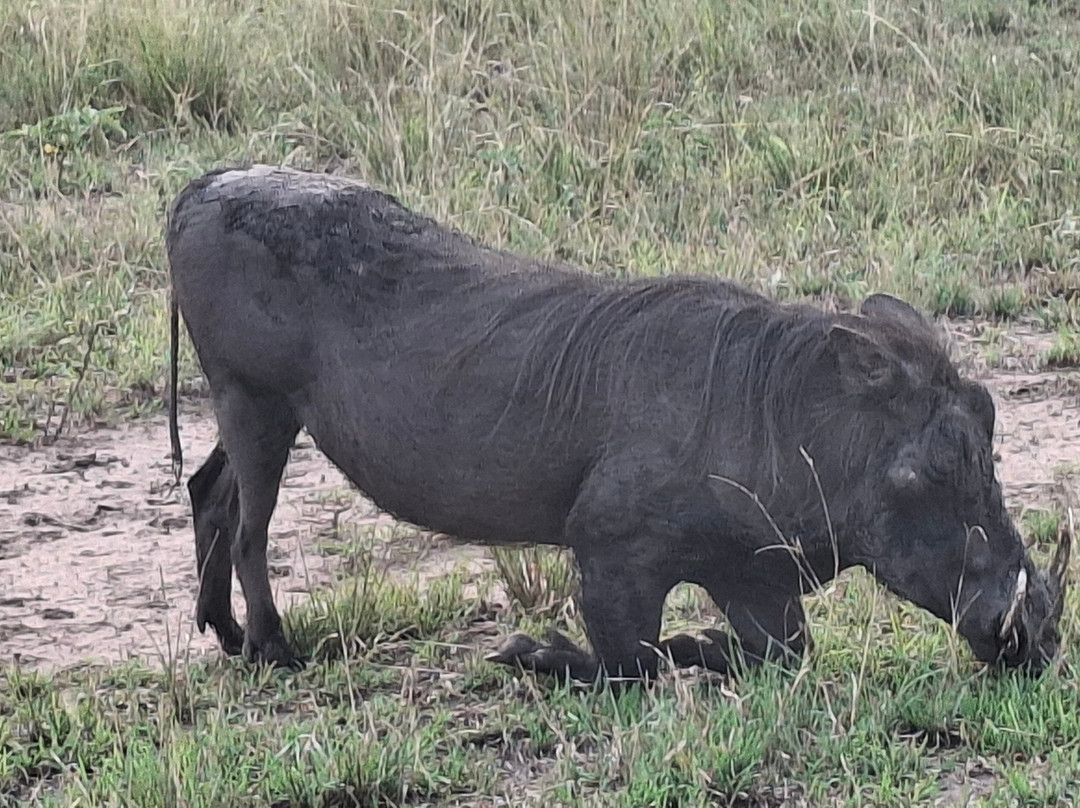 Africa Reveal Safaris-Namugongo必去景点