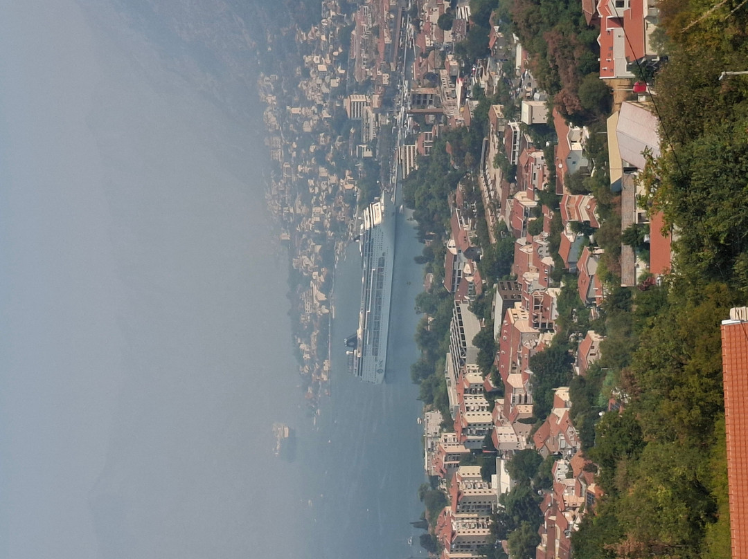 Tuk Tuk Montenegro-科托尔必去景点