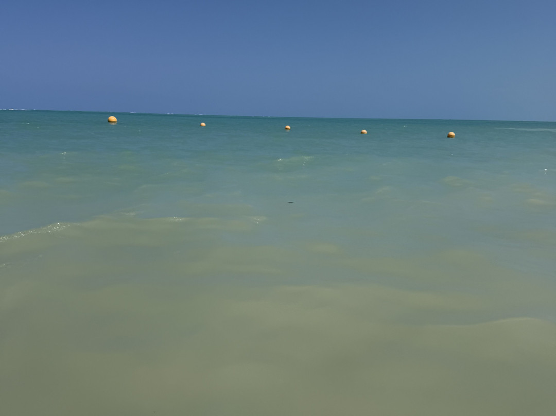 Antunes Beach-Maragogi必去景点