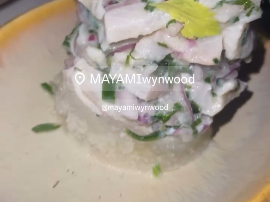 Mayami Wynwood