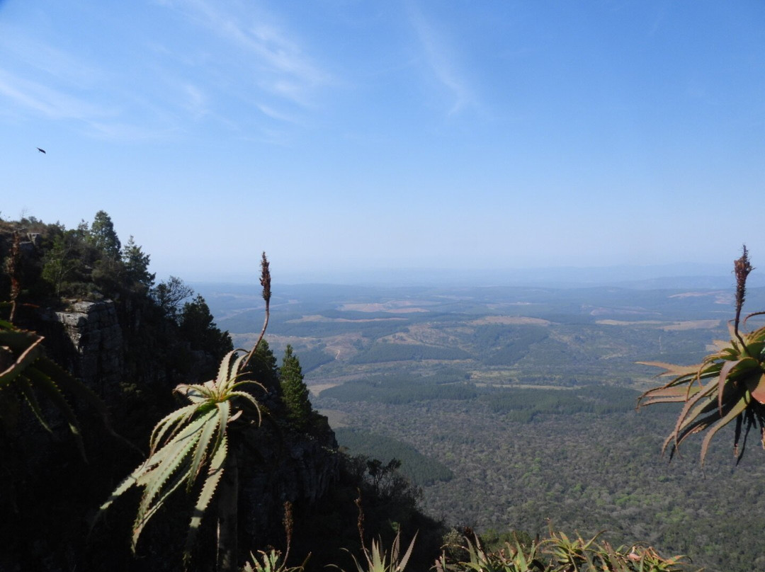 Mbombela Experience Tours and Safaris-尼斯普鲁特必去景点