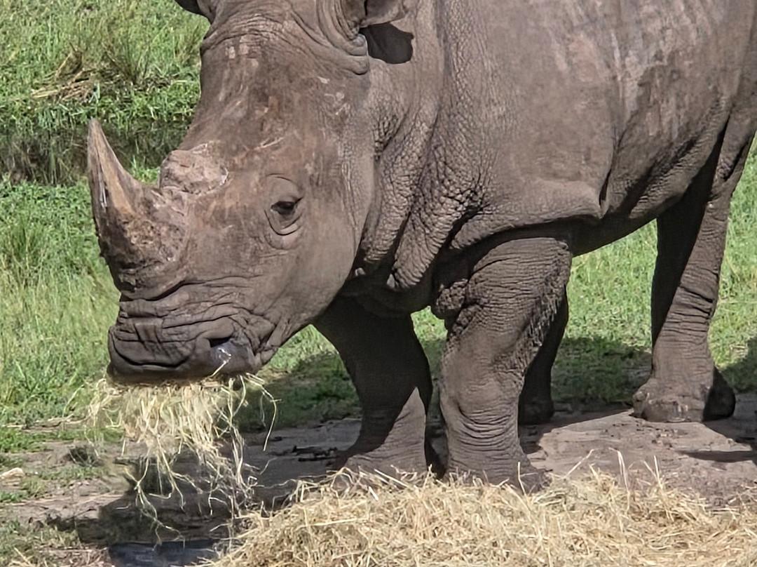 Jacksonville Zoo & Gardens-杰克逊维尔必去景点