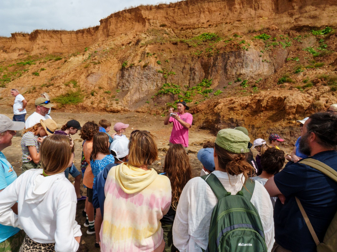 Isle of Wight Fossil Walks- Wight Coast Fossils-文特诺必去景点