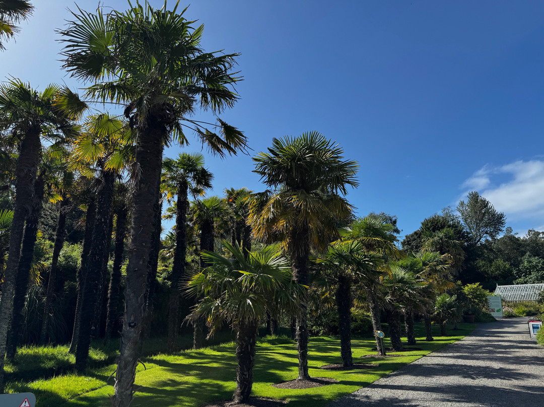 Logan Botanic Garden-Port Logan必去景点
