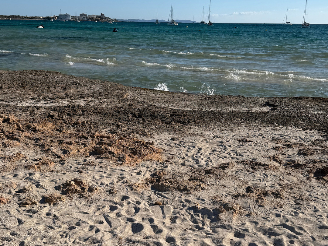 Platja d'es Trenc-Campos必去景点