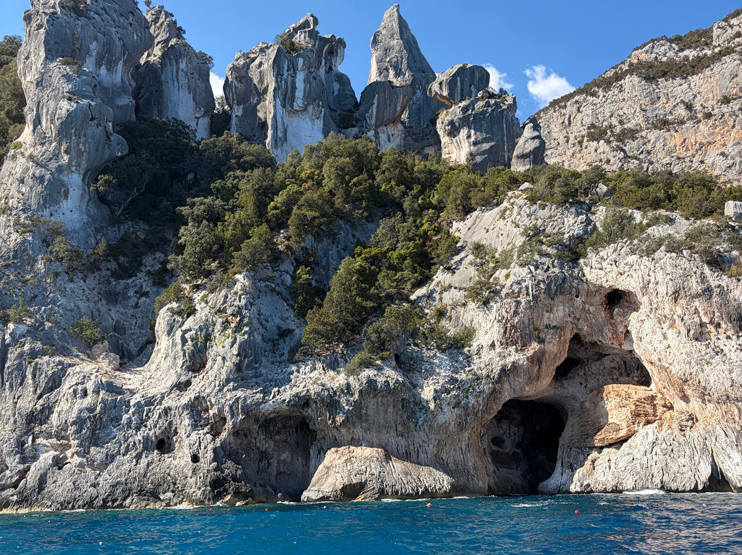 Blue Driving - Noleggio Gommoni ed escursioni nel Golfo di Orosei-奥罗塞必去景点