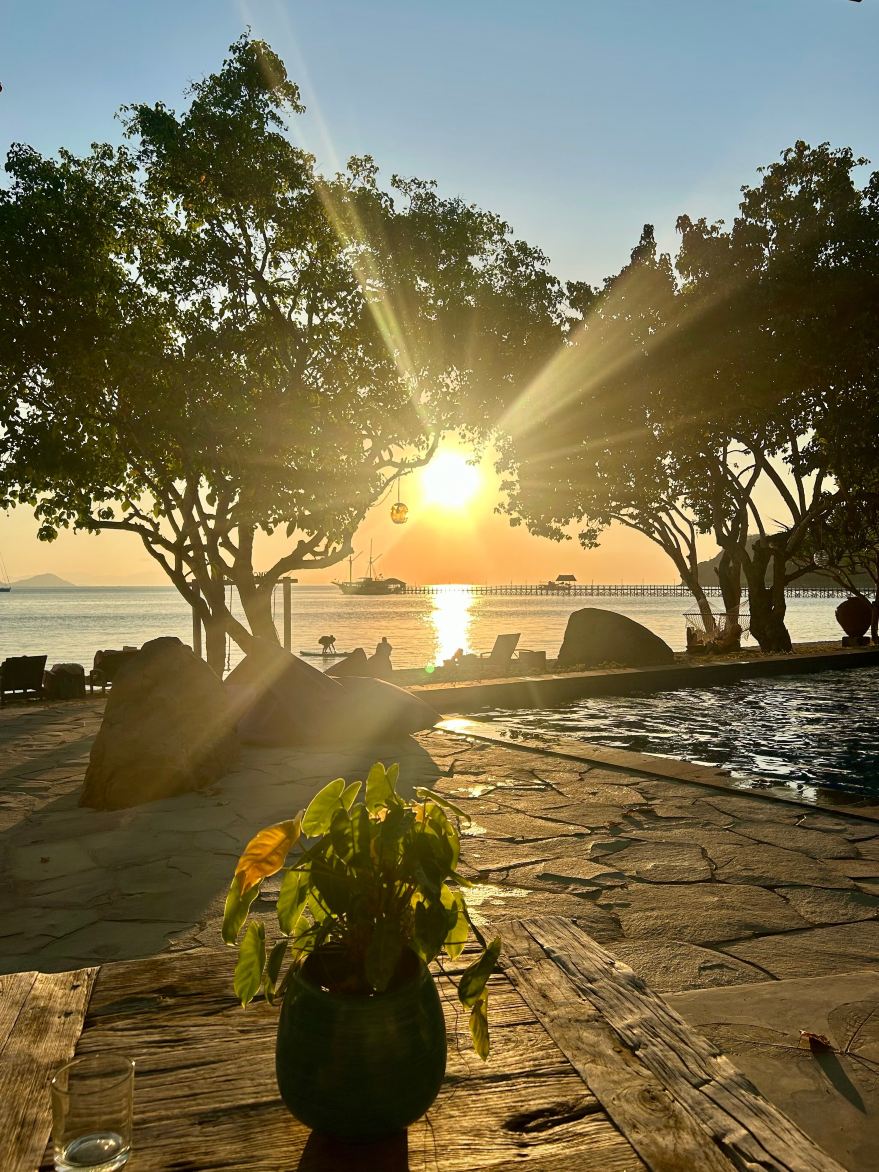 普拉塔伦科莫多海滩度假村-旅行者