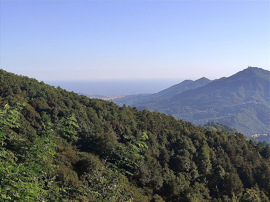 Passo della Bocchetta - Monte delle Figne