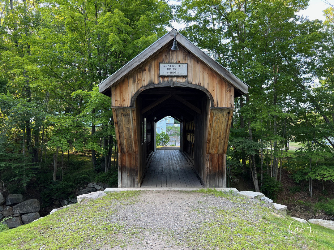 Tannery Hill Bridge-吉尔福德必去景点