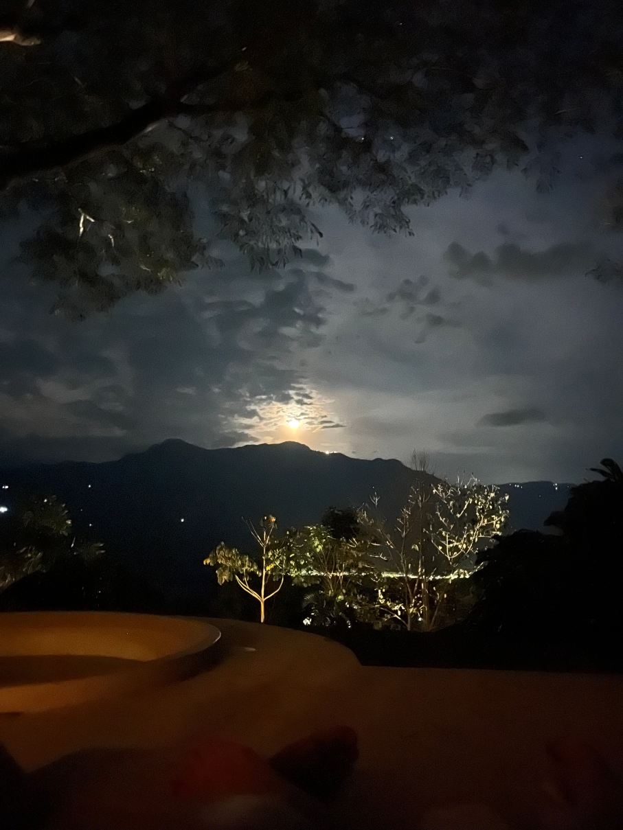 塔希提酒店-旅行者