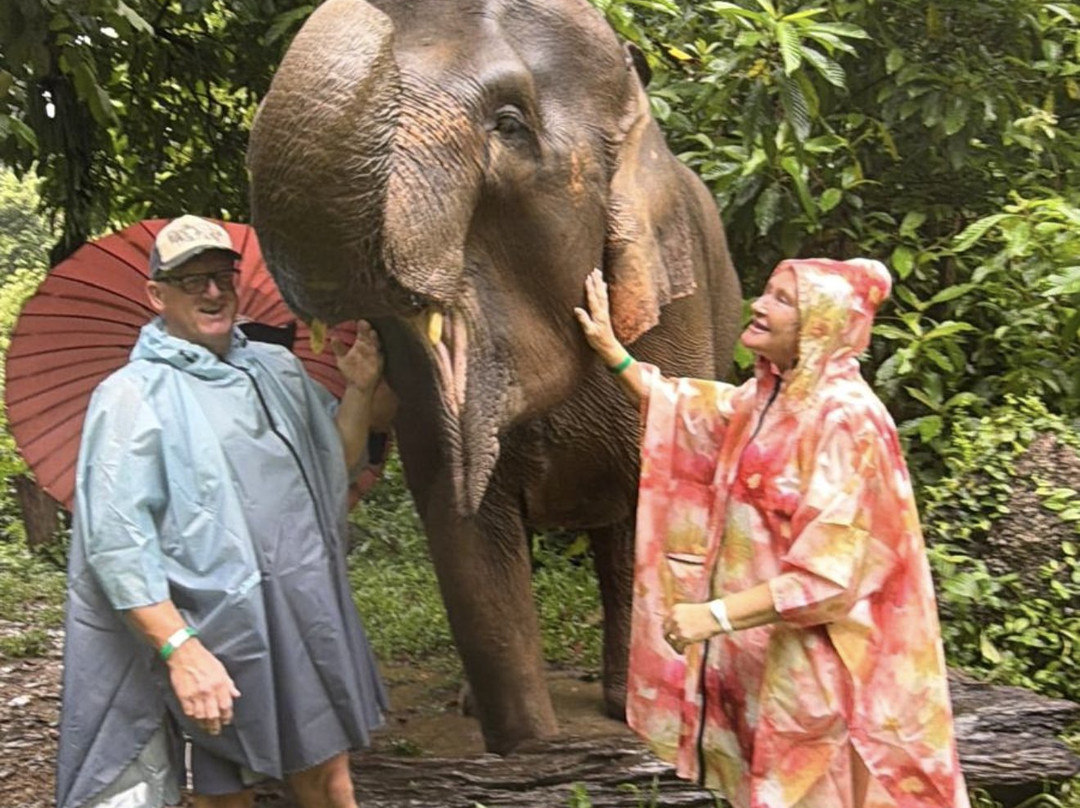 Phang Nga Elephant Park-攀牙必去景点
