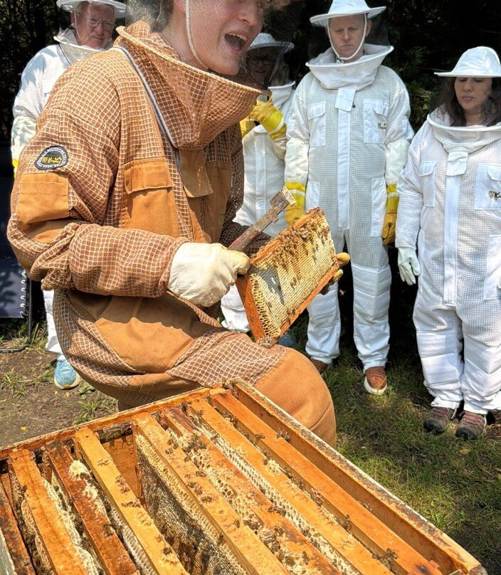 Dry Creek Beekeeping-Elizabeth必去景点