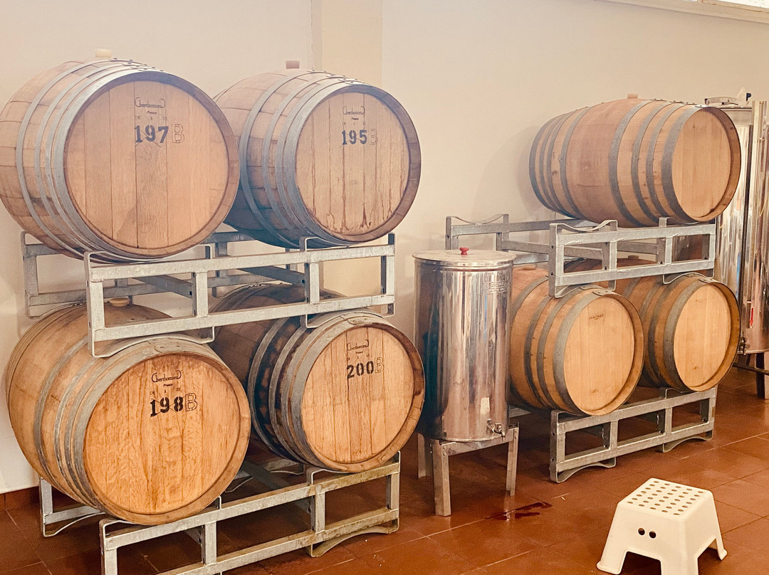 Karonis Distillery-纳夫普利翁必去景点