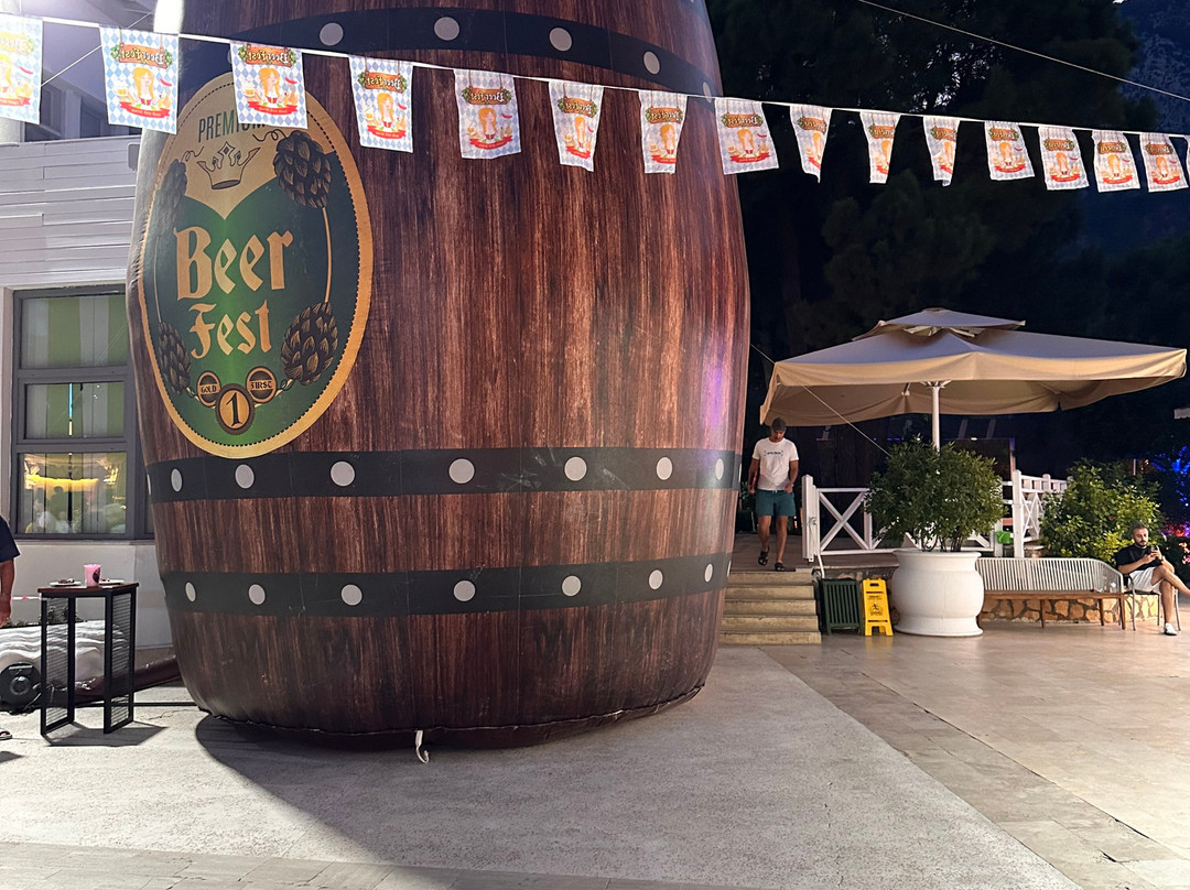 水晶弗洛莱海滩度假酒店 - 全包式主图