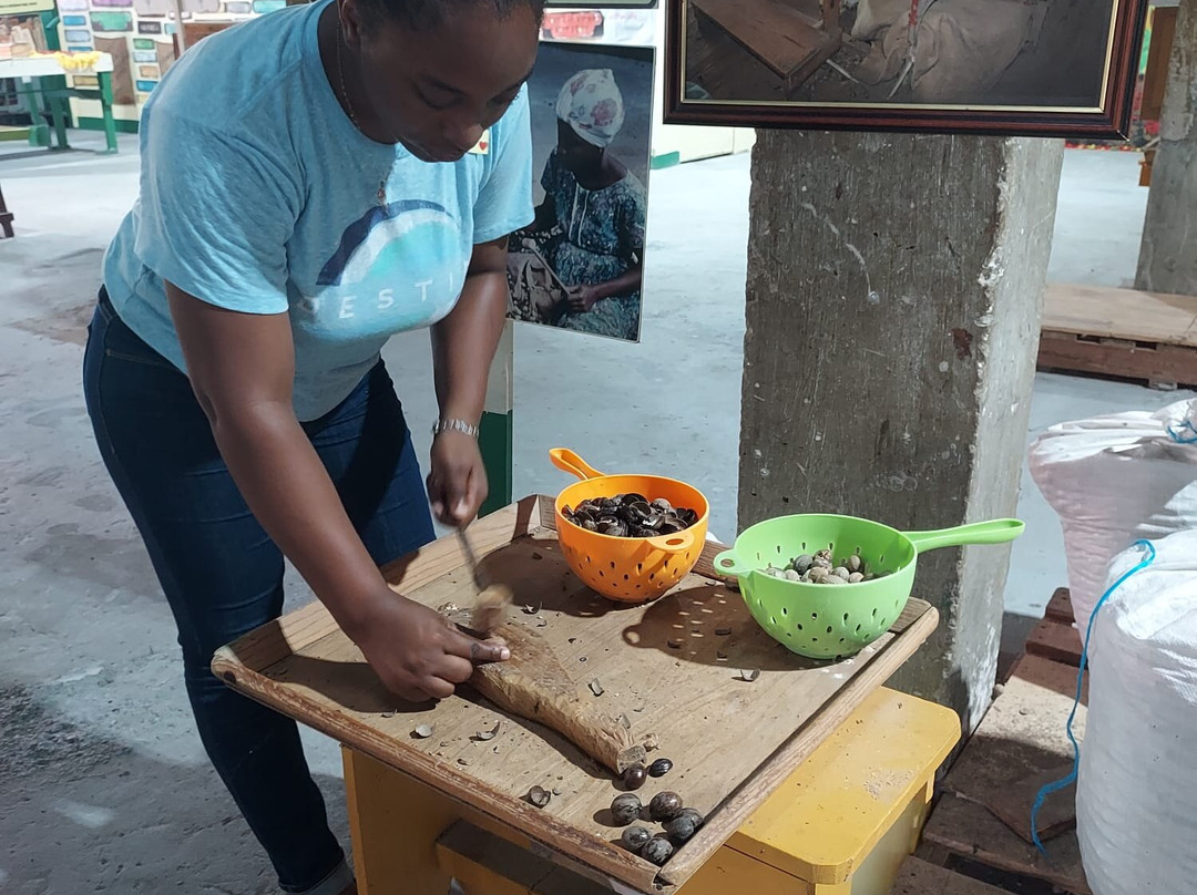 Grenada Co-Operative Nutmeg Association-格林纳达必去景点