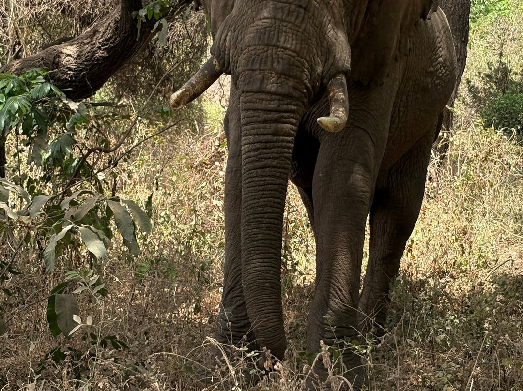 Zara Tanzania Adventures-莫西必去景点