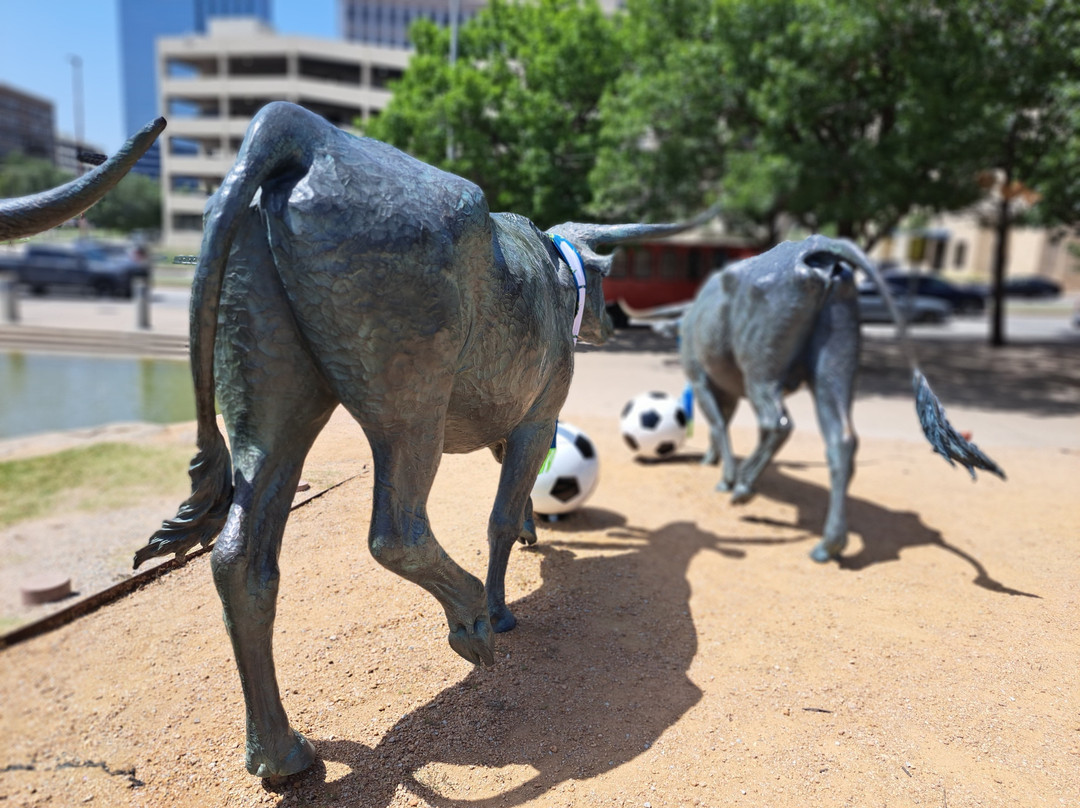 Dallas Cattle Drive Sculptures-达拉斯必去景点