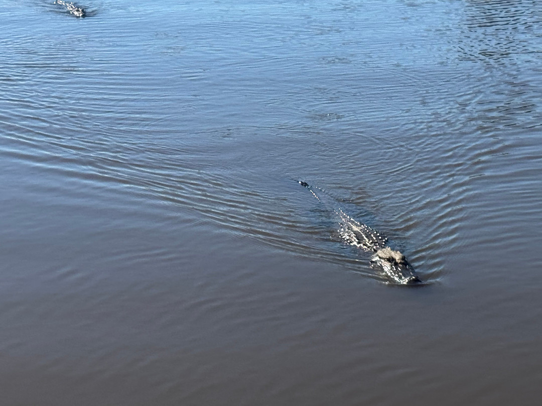 Atchafalaya Basin Landing & Airboat Swamp Tours-布里奥克斯桥必去景点