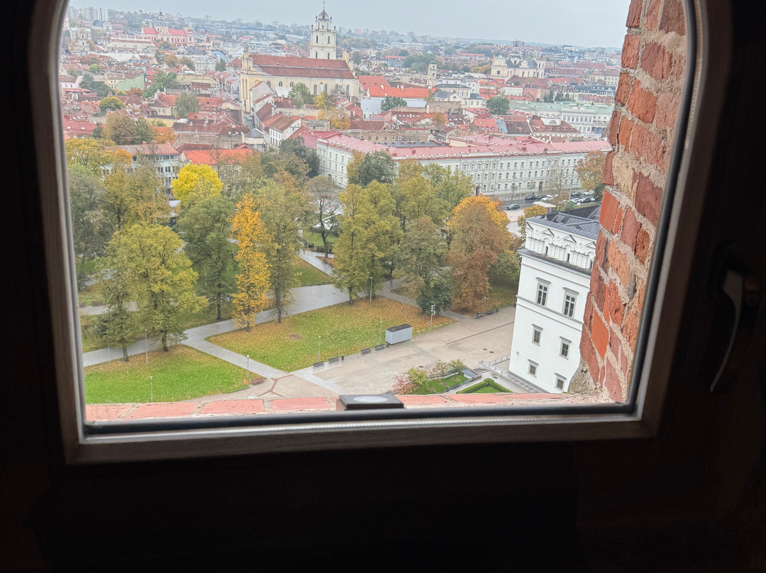 Gediminas Castle Tower-维尔纽斯必去景点