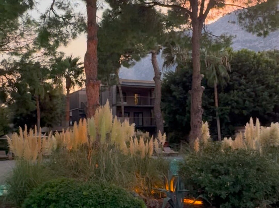 Balmy Beach Resort Kemer Beach