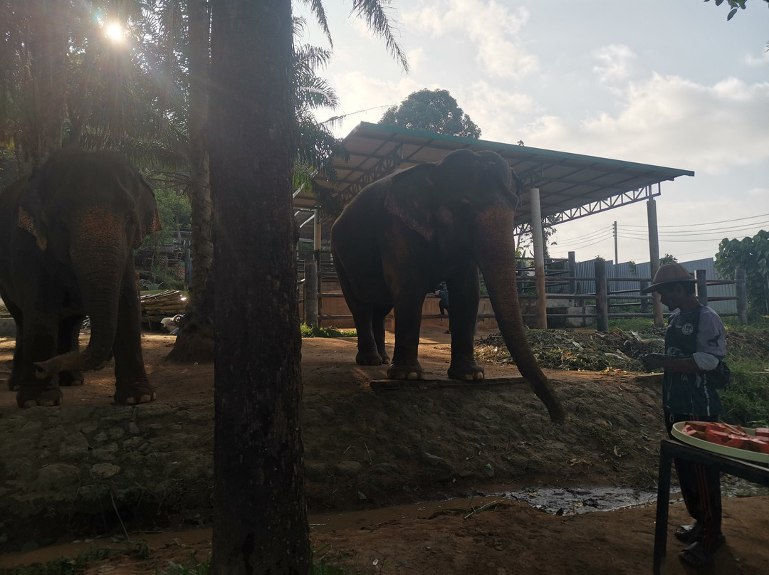 Phuket Elephant Nature Reserve-他朗必去景点