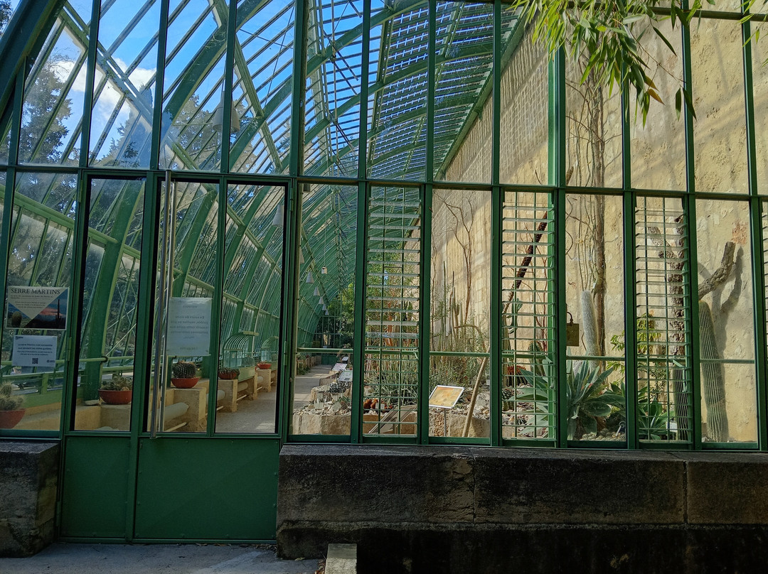 Jardin des Plantes de Montpellier-蒙彼利埃必去景点