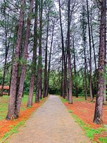 Jardim Botânico de Brasília-巴西利亚必去景点