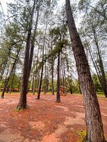Jardim Botânico de Brasília-巴西利亚必去景点