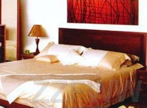 博茂商务酒店-客卧