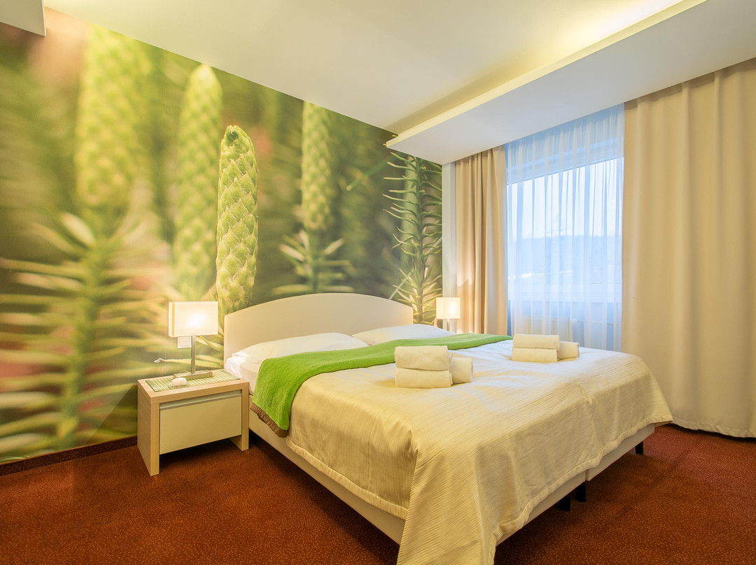Tatranska Lomnica酒店住宿-Hotel SLOVAN Tatranská Lomnica