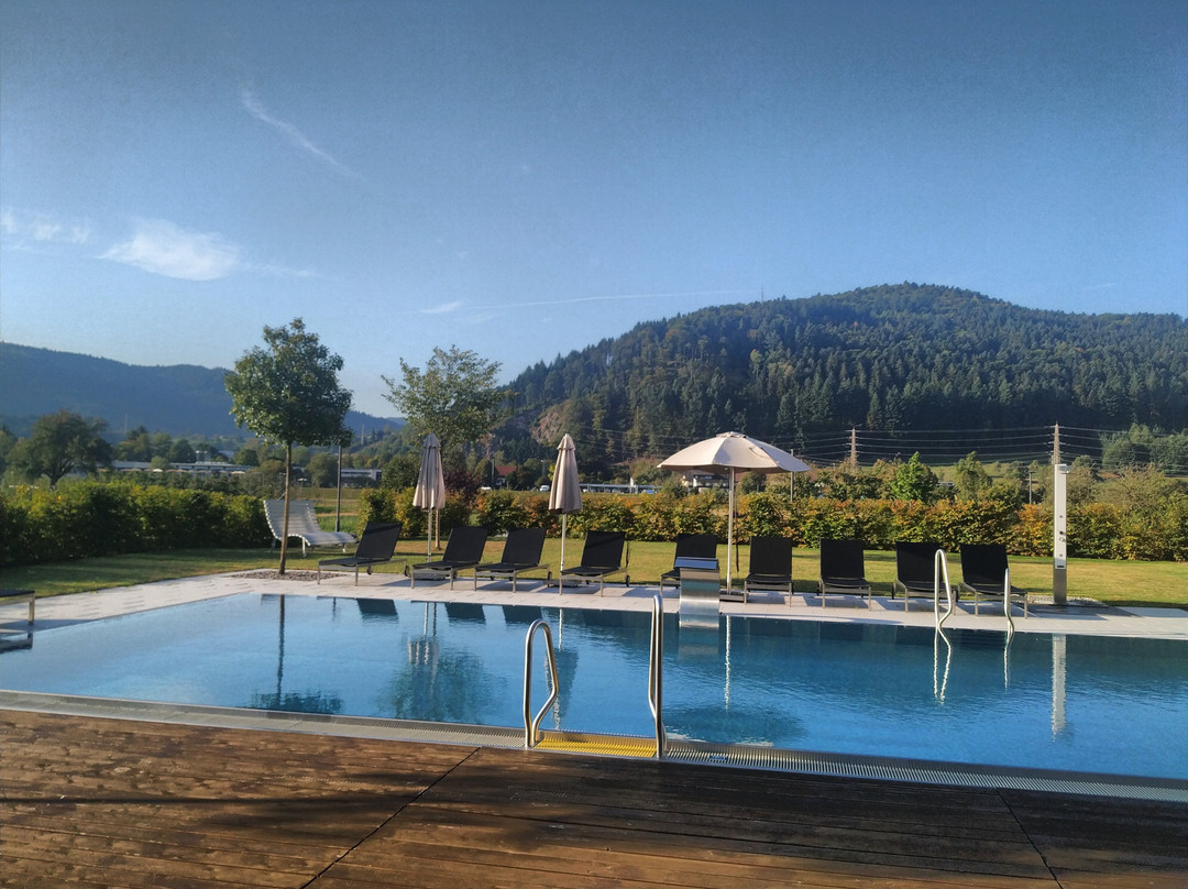 Steinach酒店住宿-Hotel Gasthaus Mosers Blume