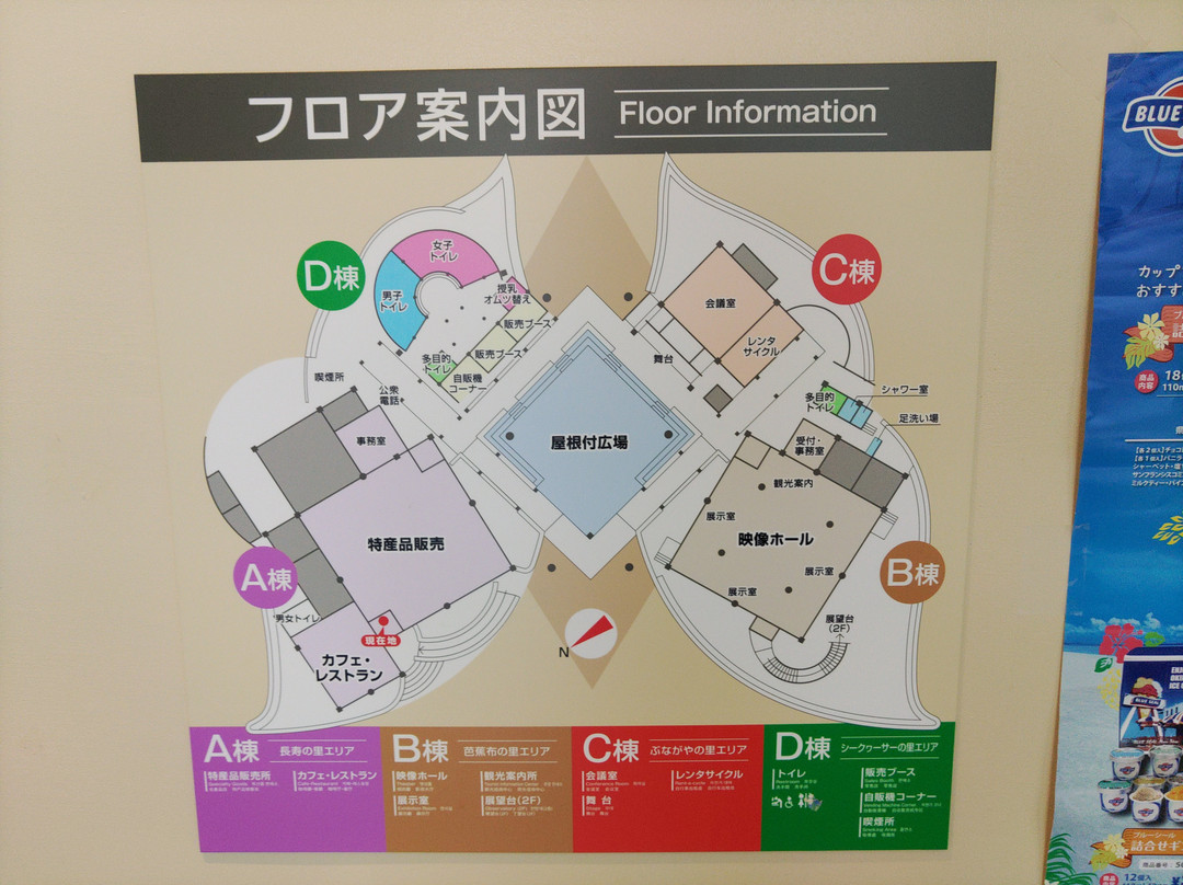 Yambaru no Mori Visitor Center景点图片