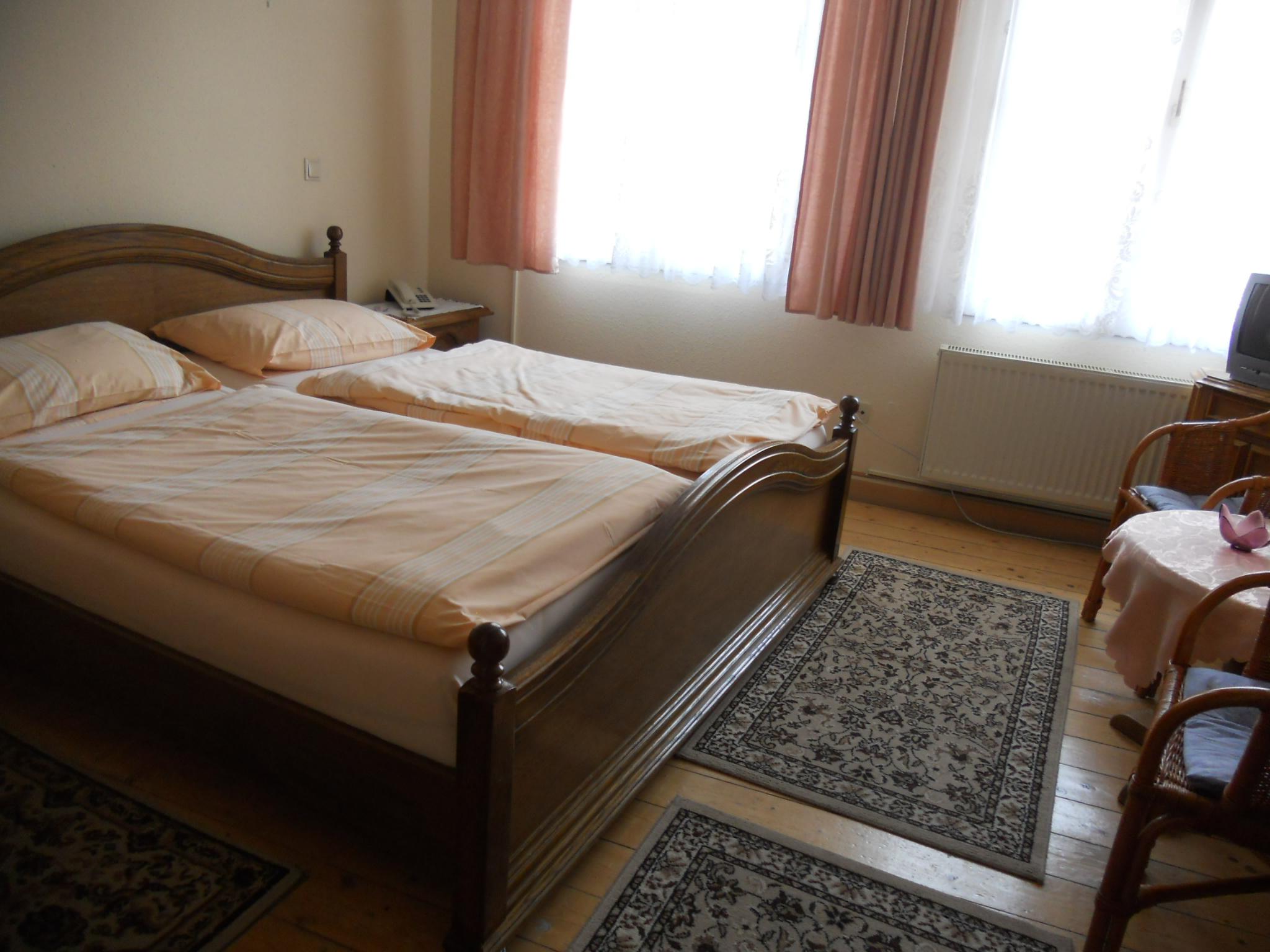 Hotel Alten Fritz-客卧