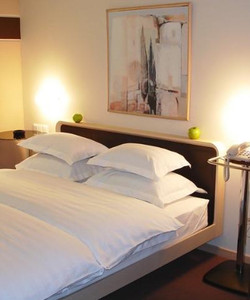 苹果花园酒店酒店图片