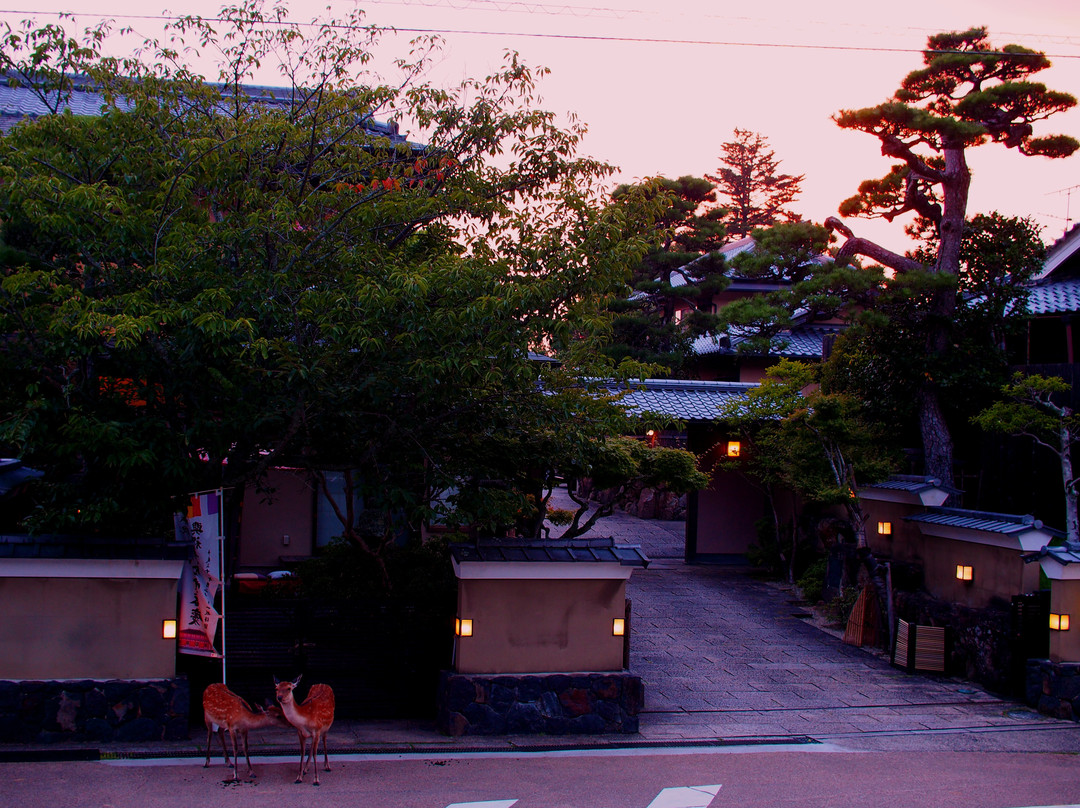 奈良市旅游攻略图片