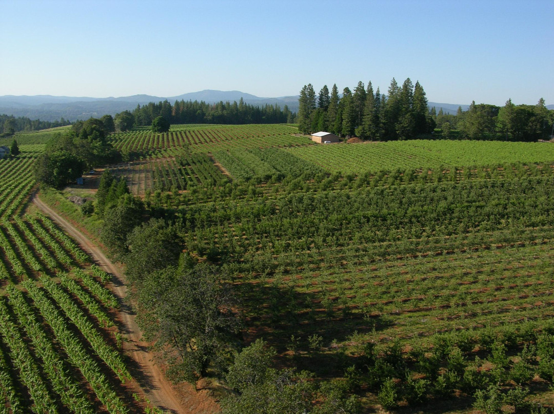 El Dorado County Chamber of Commerce-普莱瑟维尔必去景点