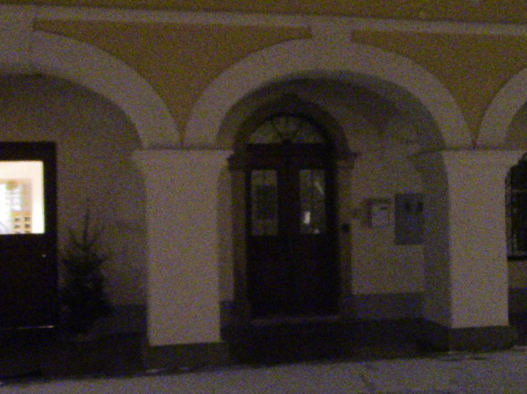 Lasko Museum
