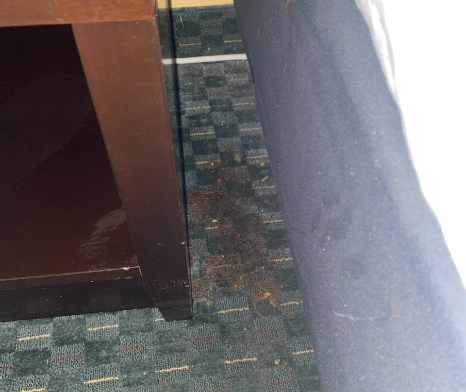 La Quinta by Wyndham Berkeley主图