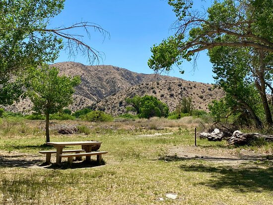 Covington Park-Morongo Valley必去景点