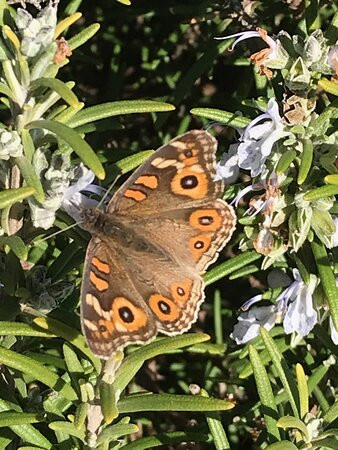 Railway Station-Bridgewater on Loddon必去景点