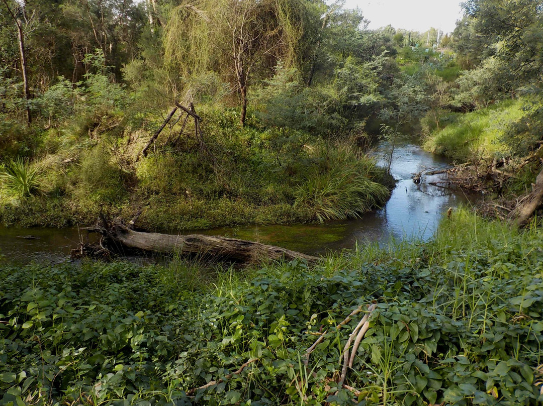 Beaconsfield Flora & Fauna Reserve-Beaconsfield必去景点