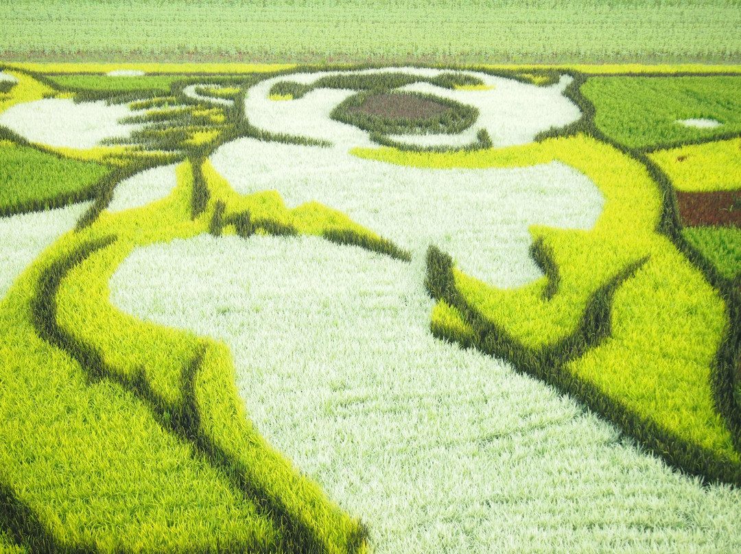 Tambo Art